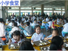 学校色多多下载免费无限看